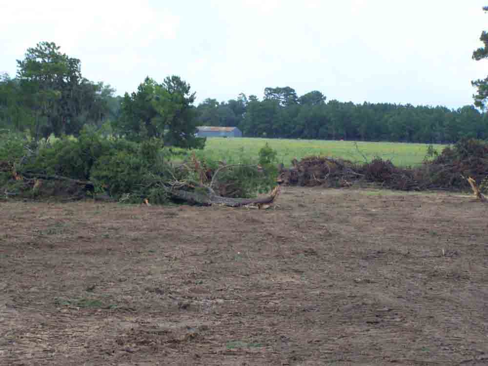 Residential Land Clearing Image 8